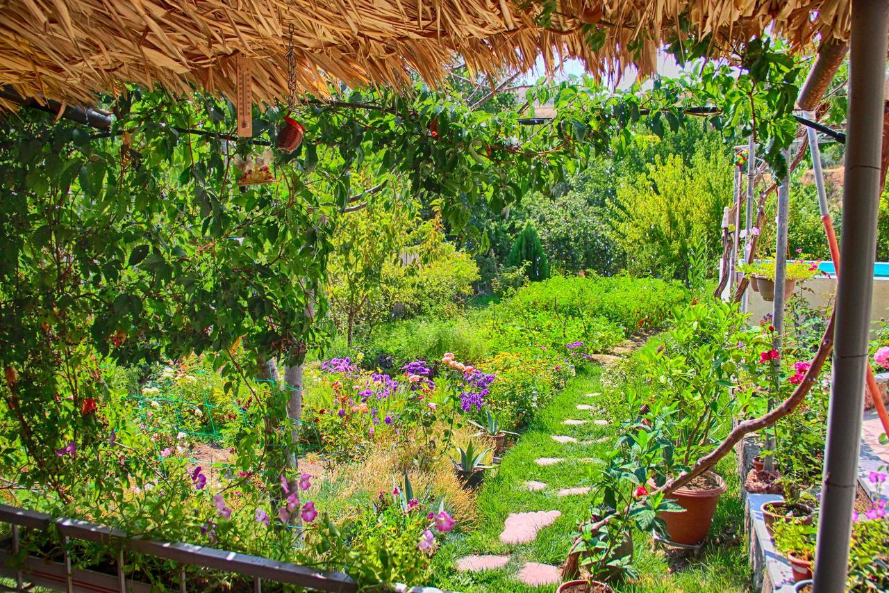 Chʼiva Ashot & Gohar B&B מראה חיצוני תמונה