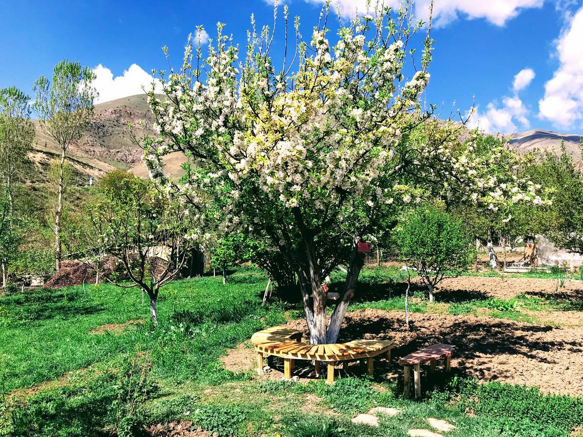Chʼiva Ashot & Gohar B&B מראה חיצוני תמונה